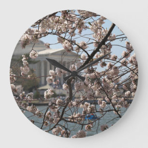 The Cherry Blossoms In Bloom In Washington DC Large Clock