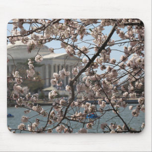 The Cherry Blossoms In Bloom In Washington DC Mouse Pad