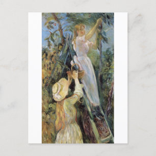 The Cherry Picker by Berthe Morisot Postcard
