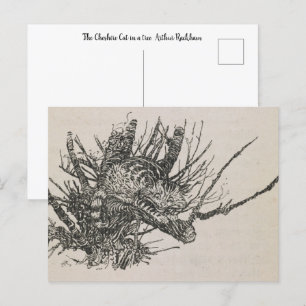 The Cheshire Cat in a tree  Arthur Rackham Postcard