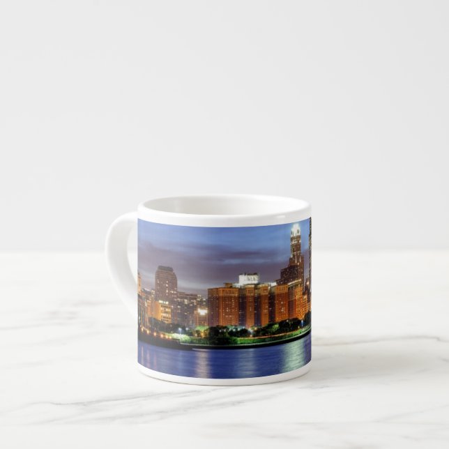 The Chicago skyline from the Adler Planetarium Espresso Cup (Front Left)