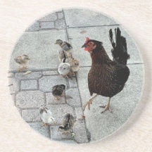 The Chick Coaster