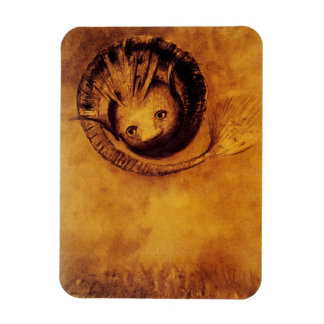 The Chimera Magnet