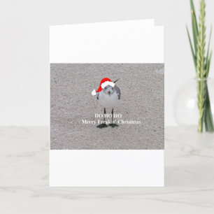 The Christmas Gull Holiday Card