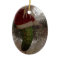 The Christmas Pickle