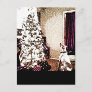 The Christmas Tree Holiday Postcard