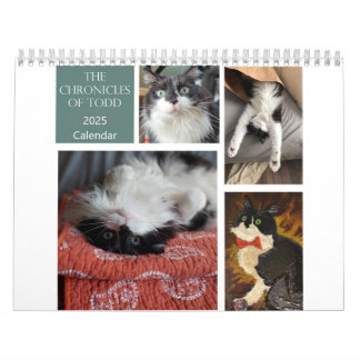 The Chronicles of Todd 2025 Calendar