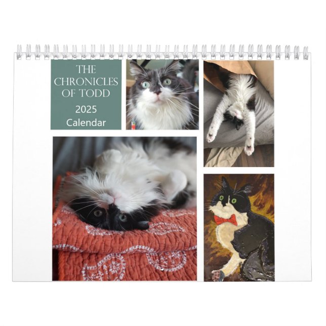 The Chronicles of Todd 2025 Calendar (Cover)