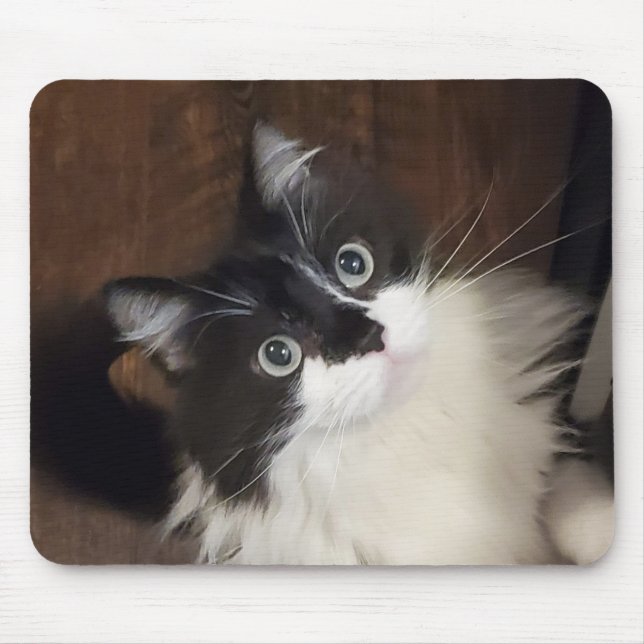 The Chronicles of Todd - Mouse Pad (Front)