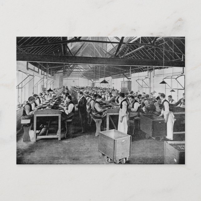 The cigar manufacturing departments postcard (Front)