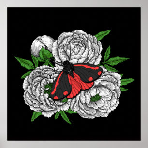 The cinnabar moth poster