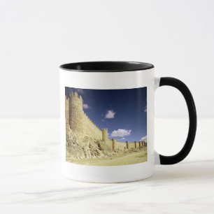 The city walls mug