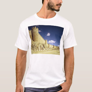 The city walls T-Shirt