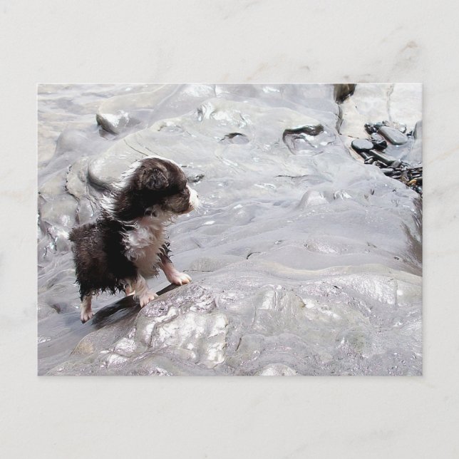 The Climb Postcard (Front)