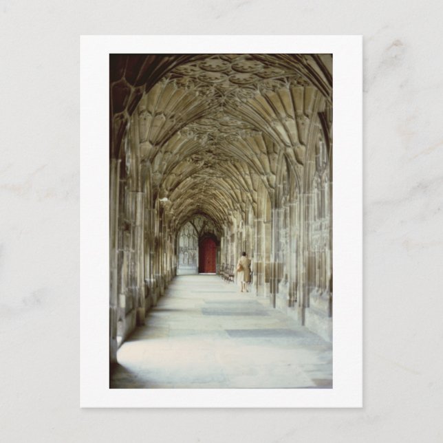 The Cloisters of Gloucester Cathedral, 12th centur Postcard (Front)