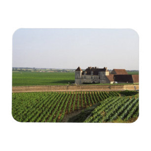 The Clos de Vougeot 16th century monastery and Magnet