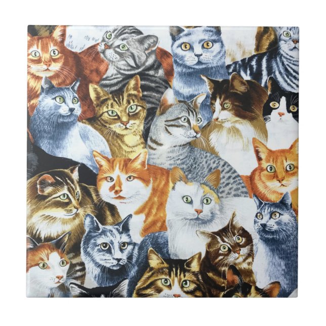 The Clowder of CATS Ceramic Tile (Front)