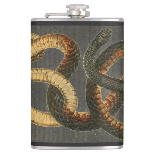 The Coachwhip Snake Flask