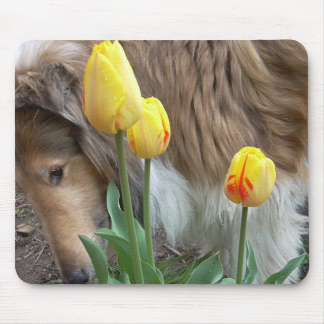 The Collie and The Tulips Mouse Pad (Front)