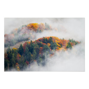The colors of the Autumn in the High Alps Poster