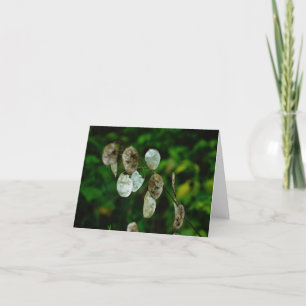 The Colour of Money note card