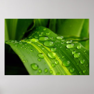 The Colour of Rain.. Poster