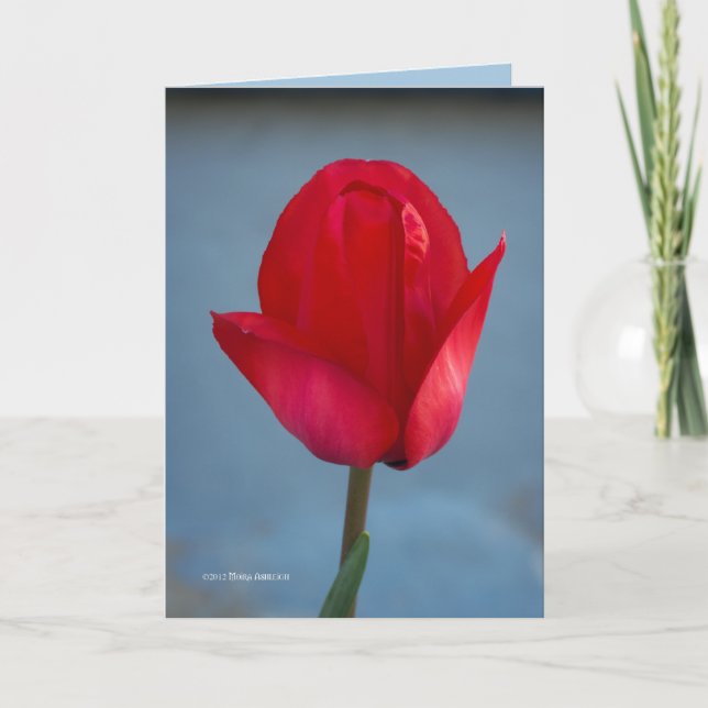 The Colour Red Card (Front)