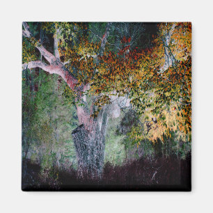 The Colours of Fall.... Magnet