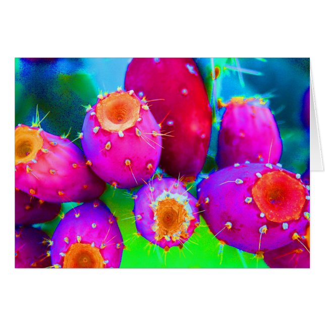The Colours of  Prickly Pears (Front Horizontal)