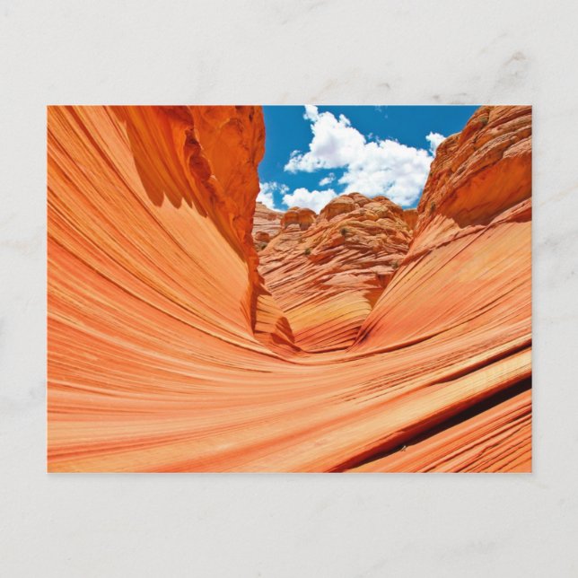 The Colours of the Wave Postcard (Front)