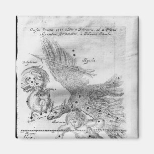 The Comet discovered and observed by Johannes Magnet