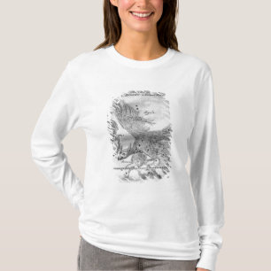 The Comet discovered and observed by Johannes T-Shirt