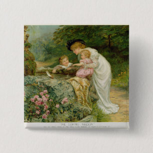 The Coming Nelson, from the Pears Annual, 1901 15 Cm Square Badge