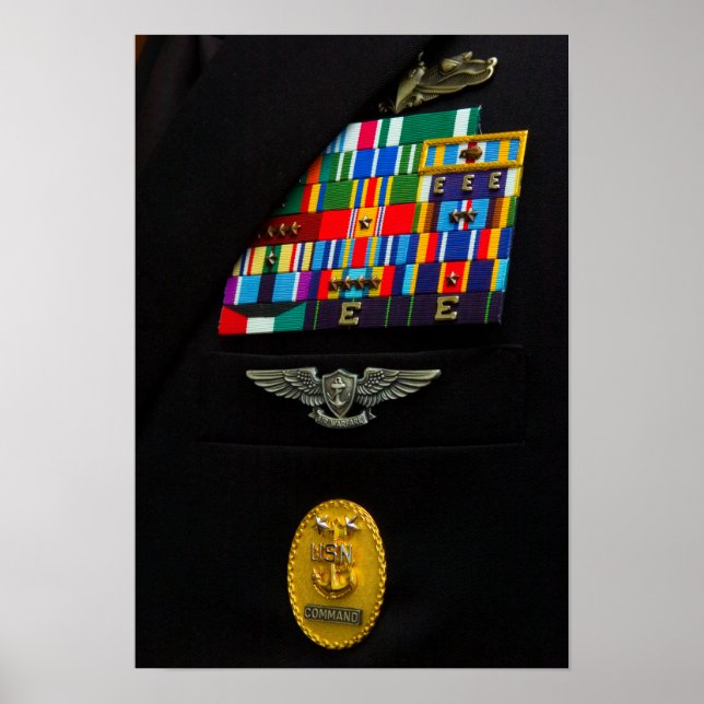 The command master chief badge poster (Front)