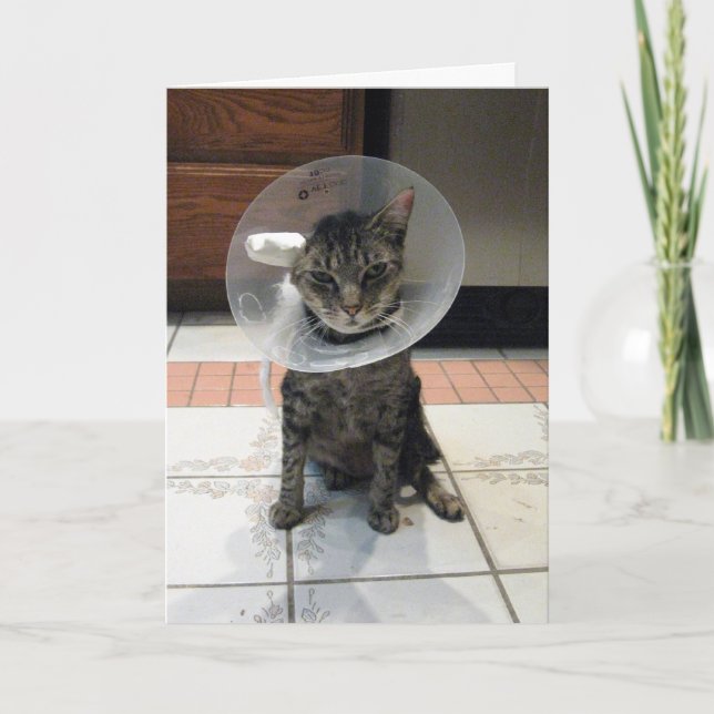 The Cone Of Shame Get Well Card (Front)