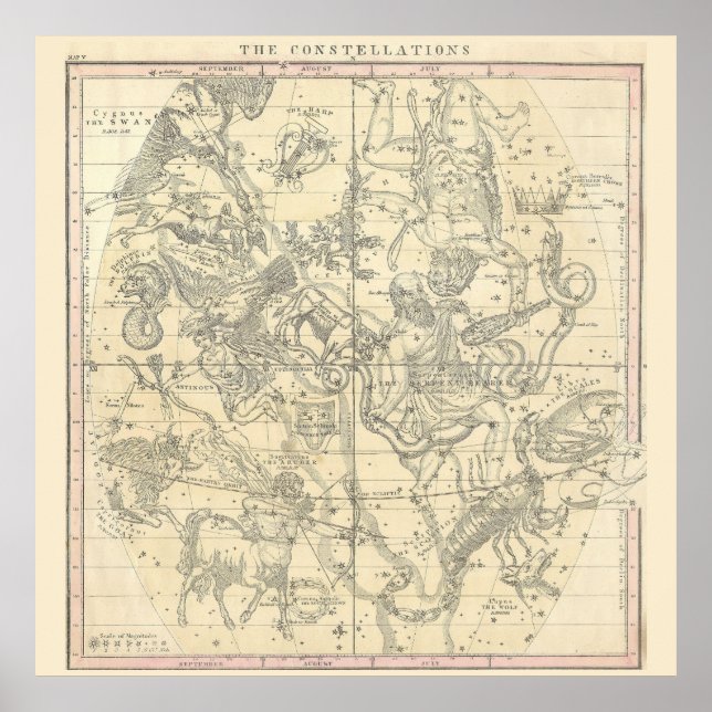 The Constellations (July, August, September) Poster (Front)