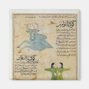 The Constellations of the Bull Magnet