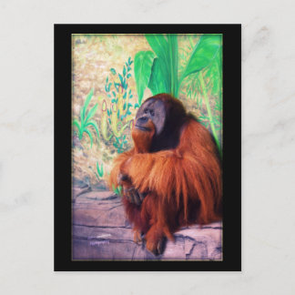 The Contemplater - Postcard