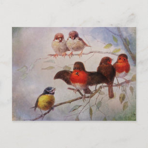 The Conversation Postcard