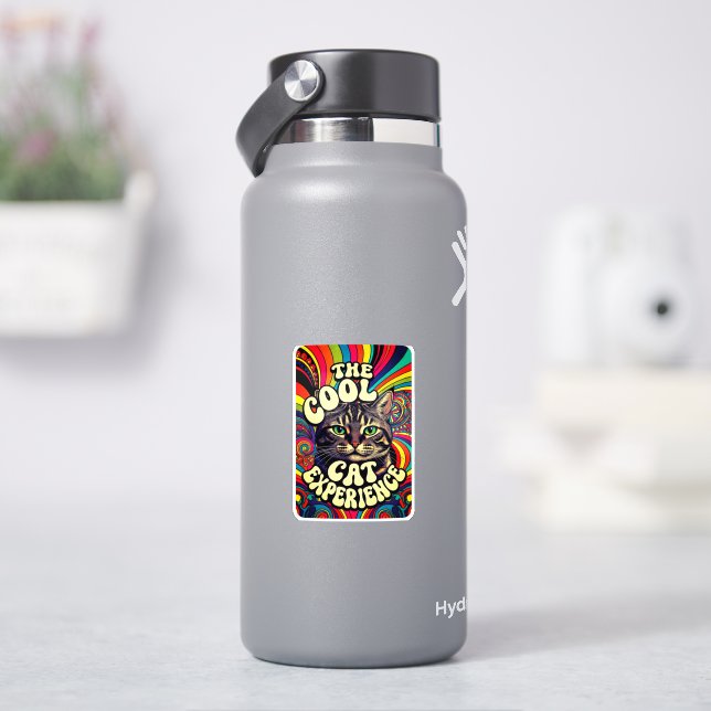 THE COOL CAT EXPERIENCE (HydroFlask)