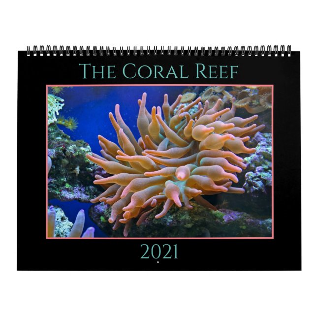 The Coral Reef Calendar (Cover)