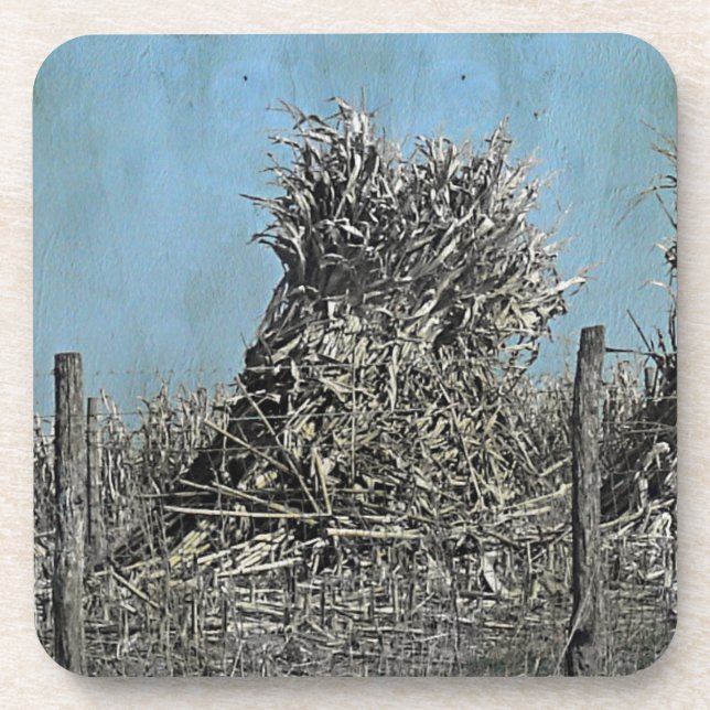 The Corn Harvest Coaster (Front)