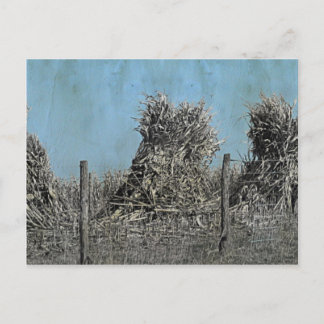 The Corn Harvest in rural Iowa Amish country Postcard