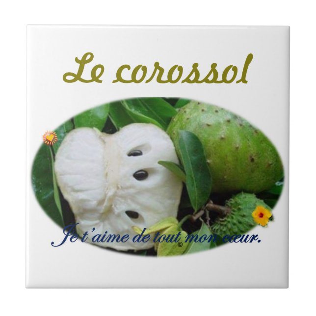 The corossol ceramic tile (Front)