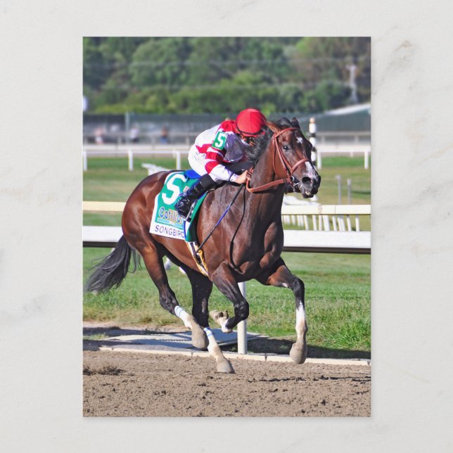 The Cotillion 2016 Postcard (Front)