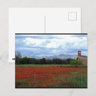 The Country Barn in the Poppy Field Postcard