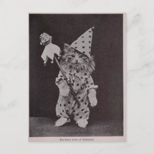 The Court Jester of Tabbyland Postcard