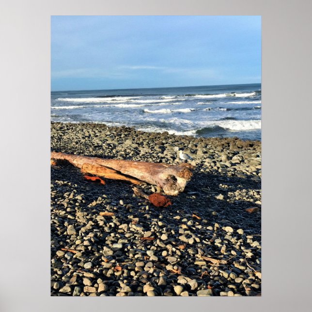 The Cove at Seaside, Oregon Poster (Front)