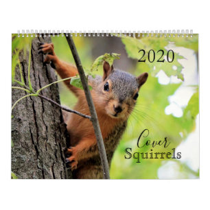 The Cover Squirrels 2020 Calendar