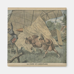 The cow and the aeroplane magnet